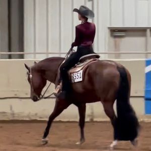 Meet your Posher, Bella